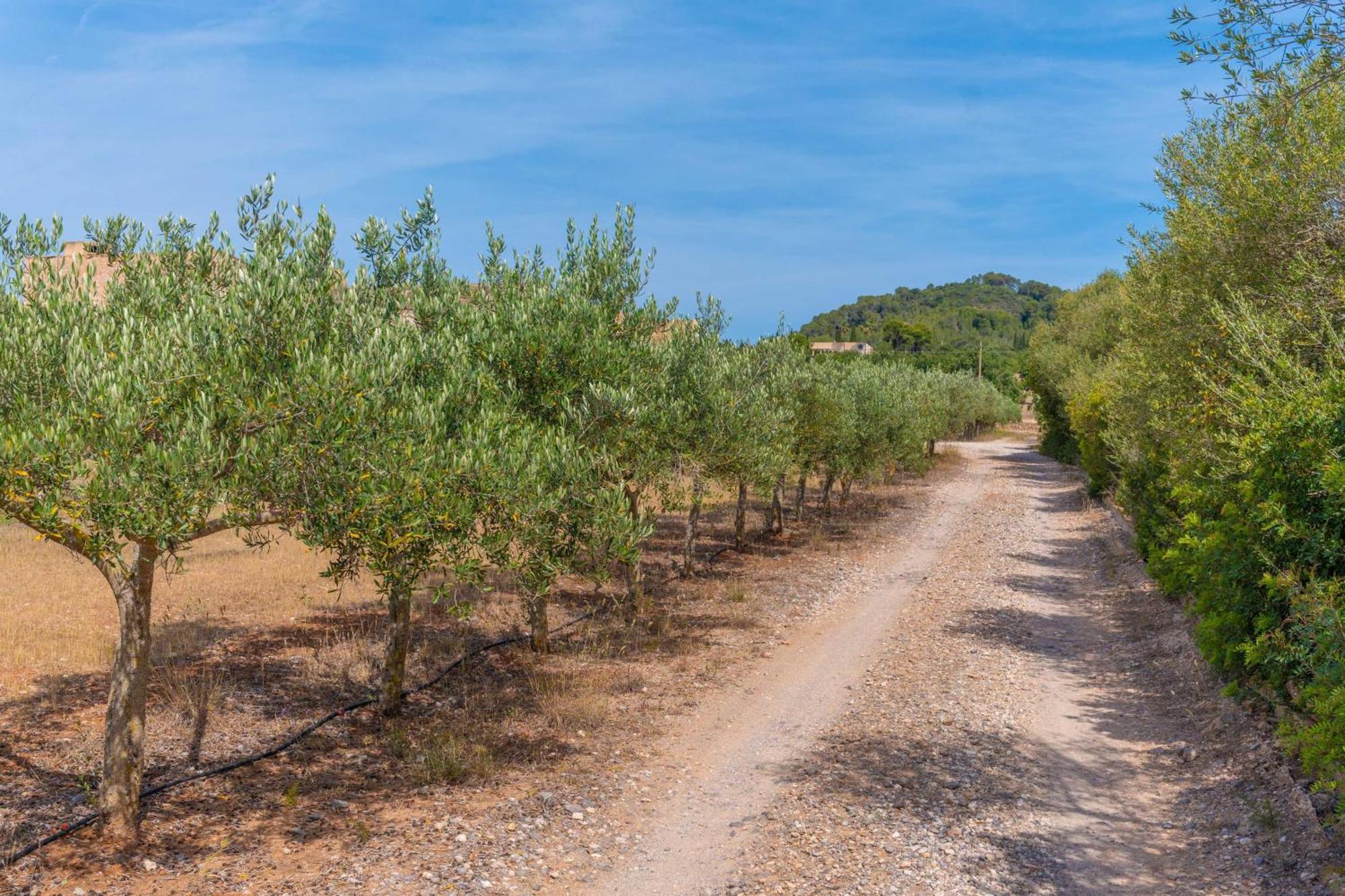 Son Floriana Βίλα Cala Bona  Εξωτερικό φωτογραφία